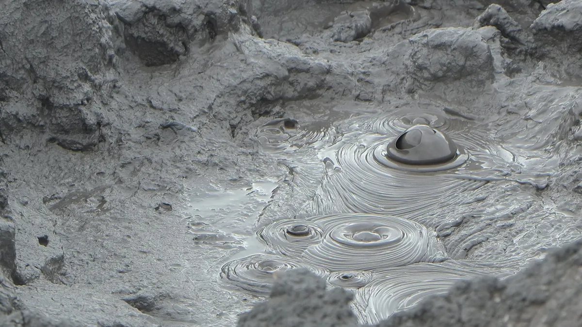 Yuyan Wang, Green Grey Black Brown (still), 2024