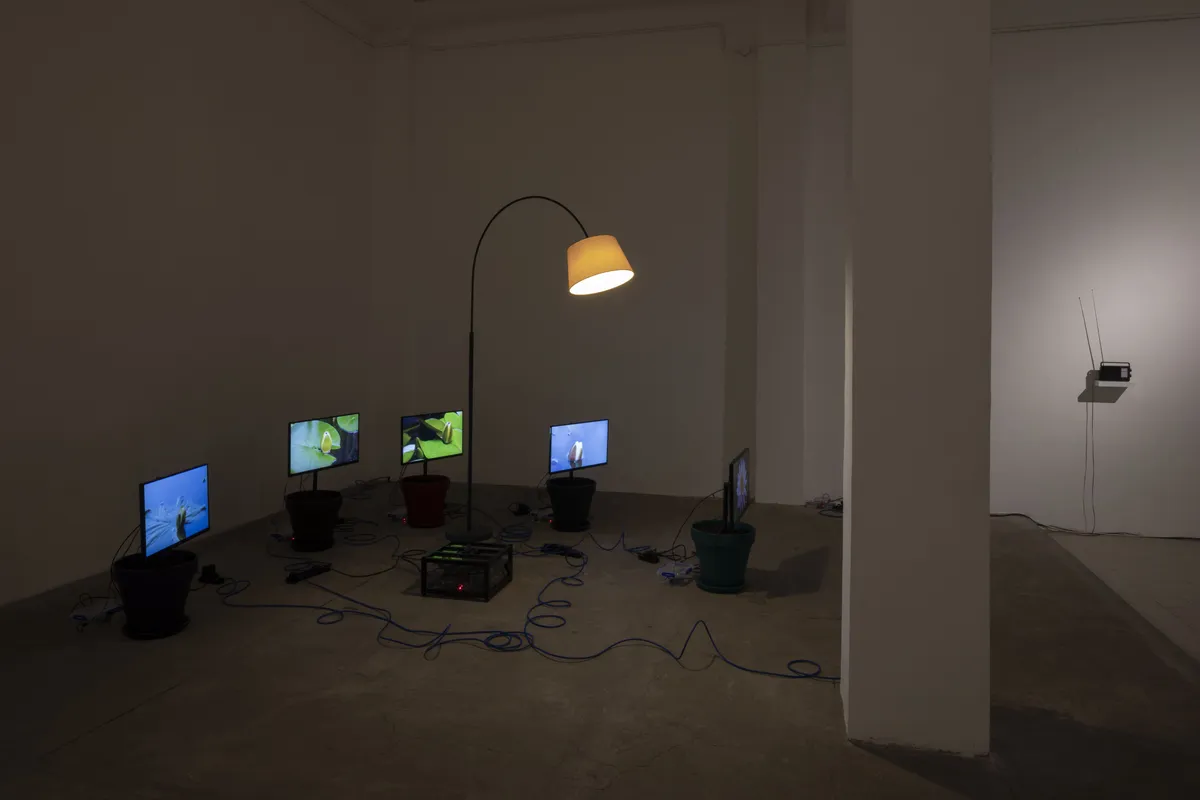 Installation view of Clara Hastrup: Remote Control