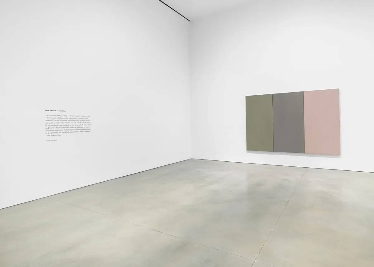 Installation view of Brice Marden: I Am Plane Image