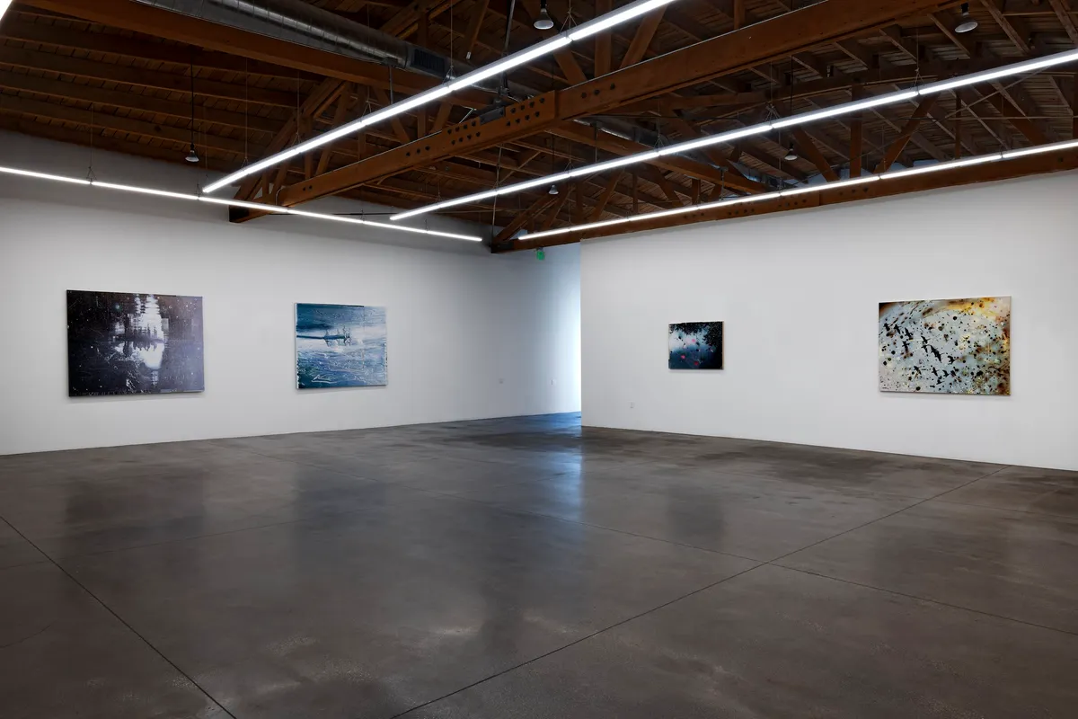 Installation view of Heide Fasnacht: Nature Once Removed