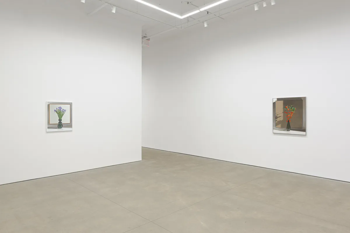 Installation view of Michael Wilkinson: fluorochiaroscuro