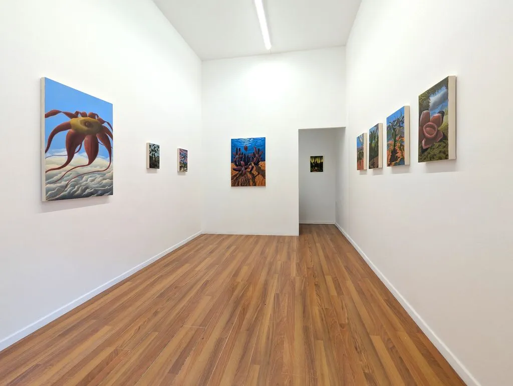 Installation view of Marco Mastropieri: Herbarium