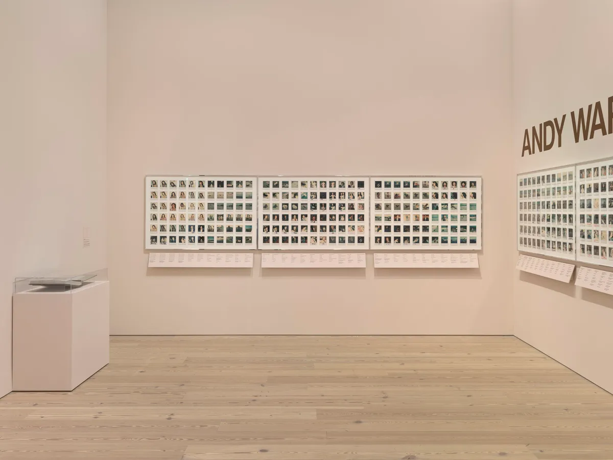 Installation view of Andy Warhol: Family Album