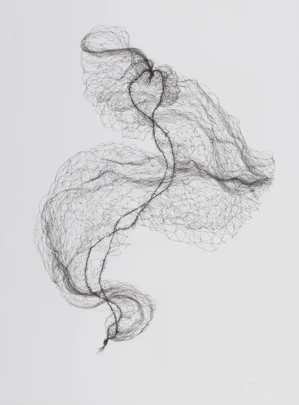 Susie MacMurray, Small Hairnet Drawing II, 2024