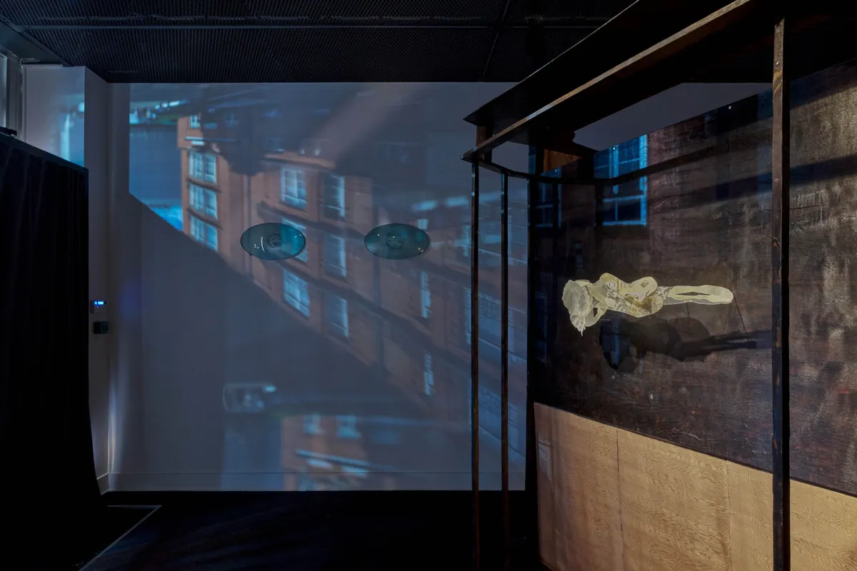 Installation view of Bruiseless