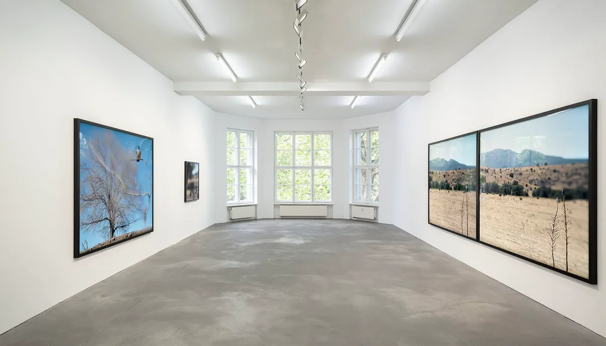 Installation view of Jean-Luc Mylayne: Reflection