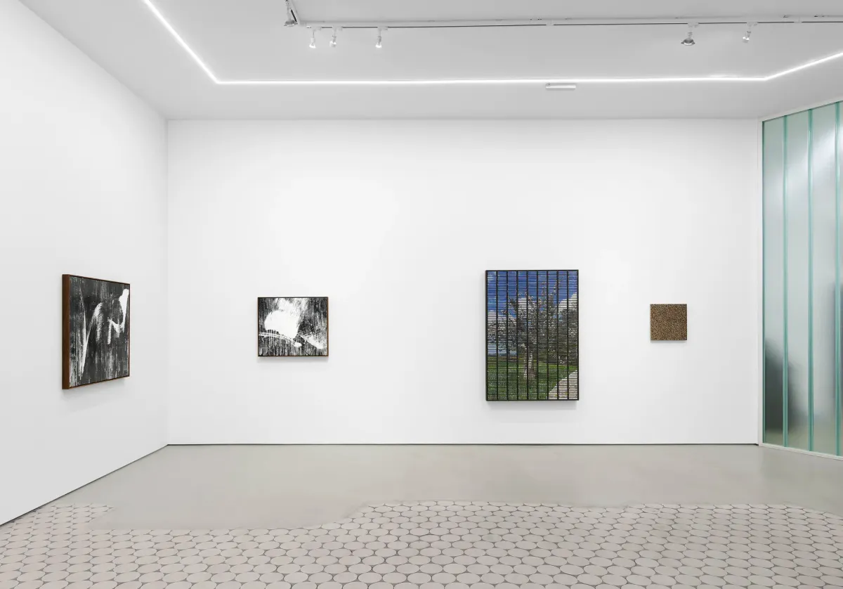 Installation view of Gregor Hildebrandt: Park by POCO