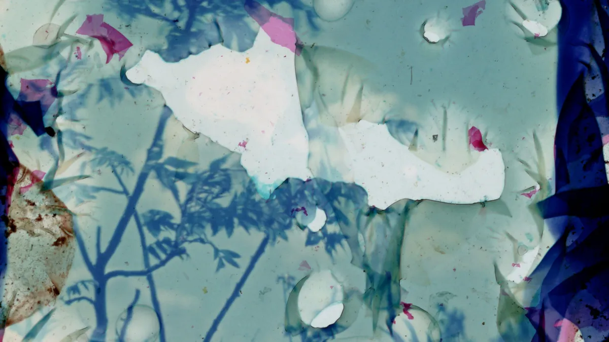 Nate Dorr, All that is lost ends up in the waters (still), 2026