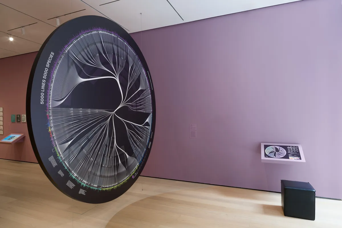 Installation view of Full Disclosure: The Edge of Information Design