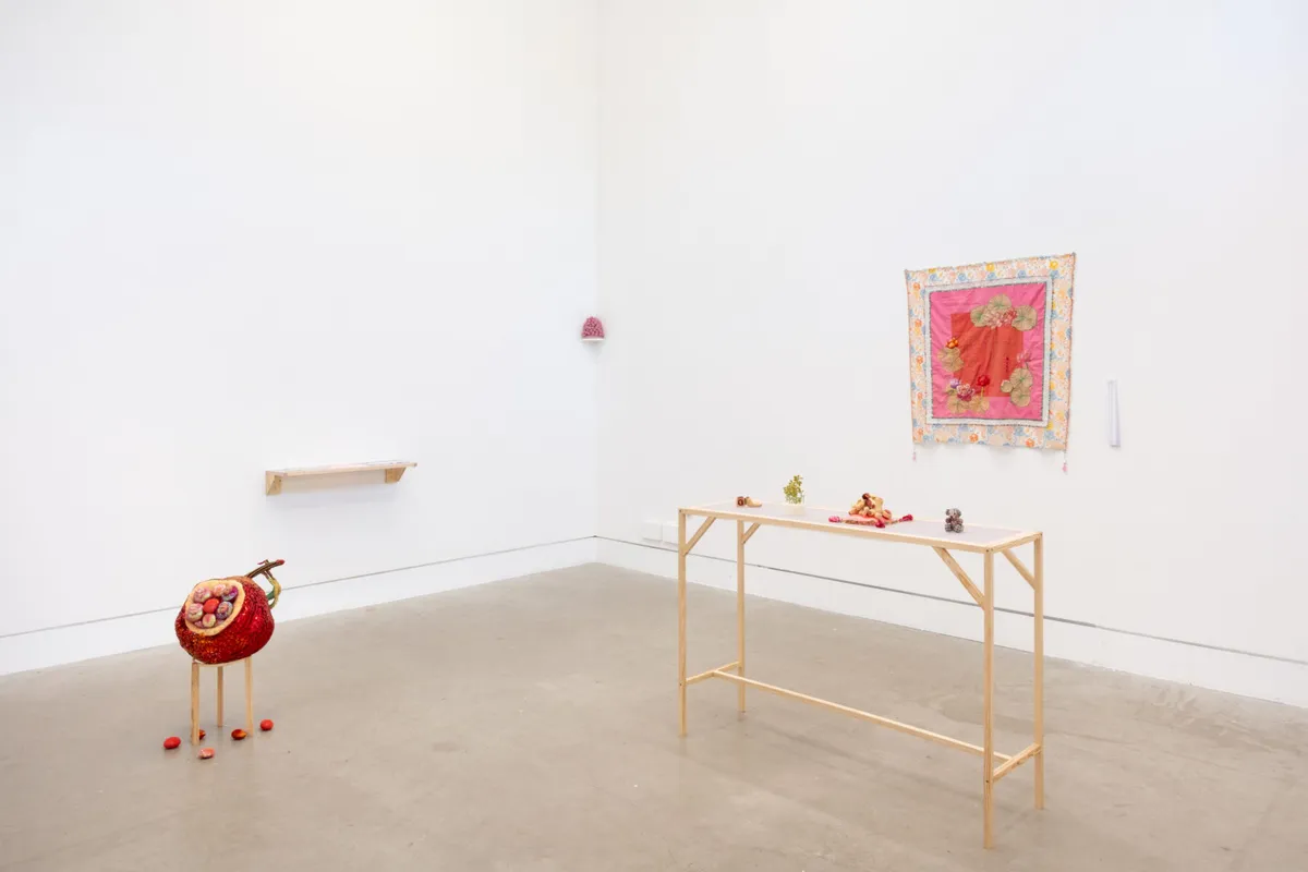 Installation view of DanFong Wang: The Sparkle, The Blossom and The Milky Land