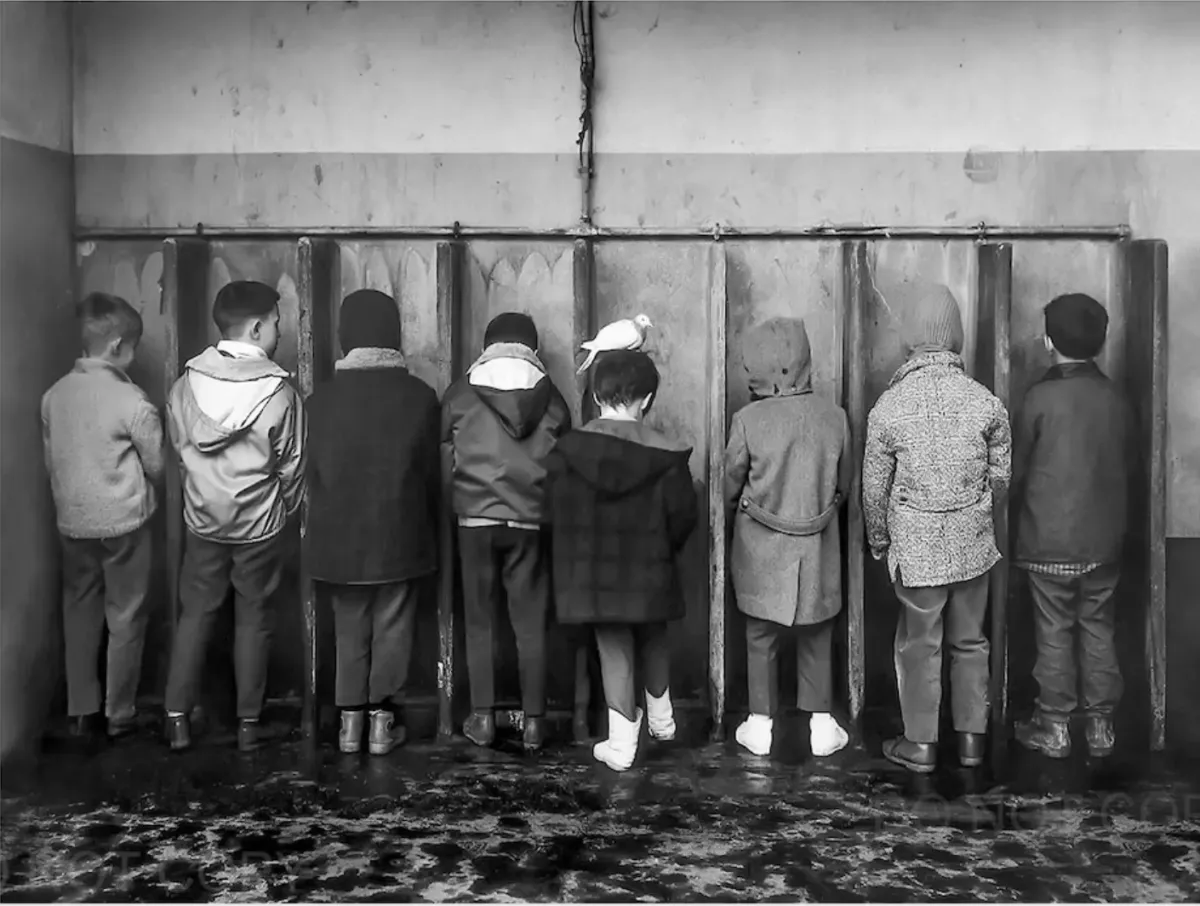 Le pigeon indiscret, 1964