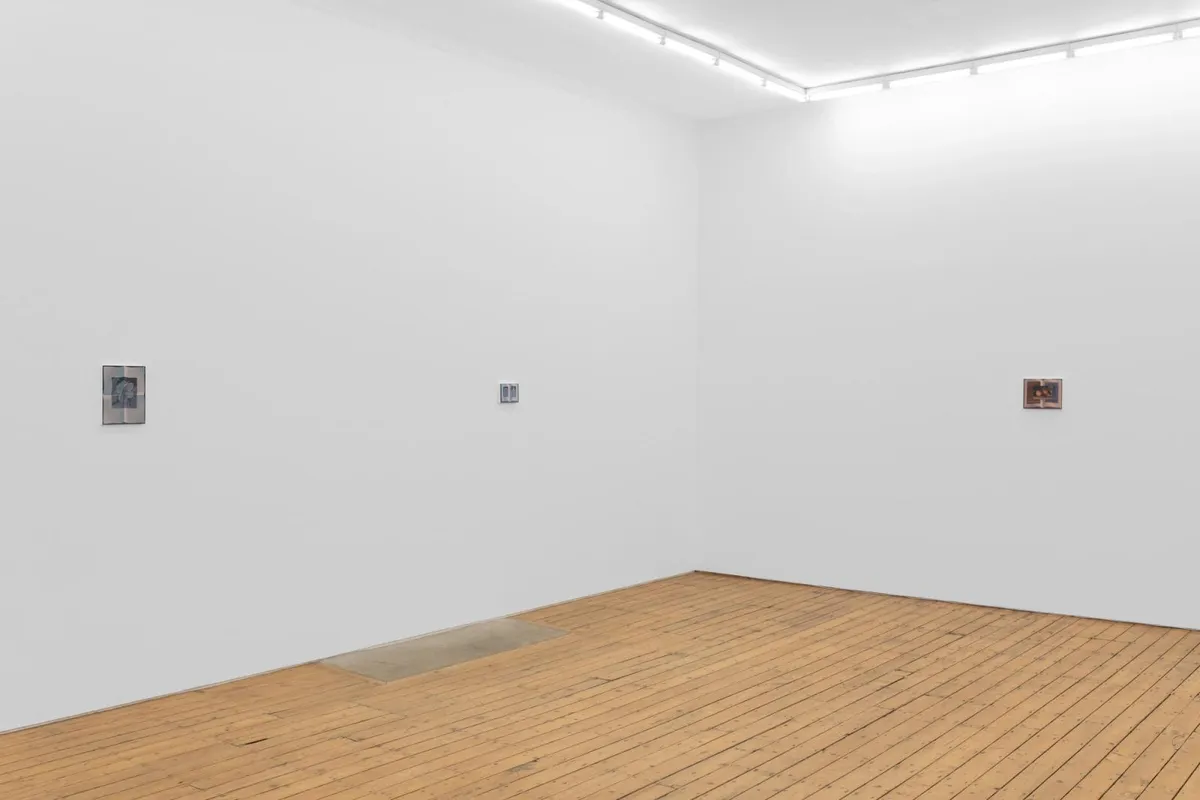 Installation view of Olivia Jia: Faun