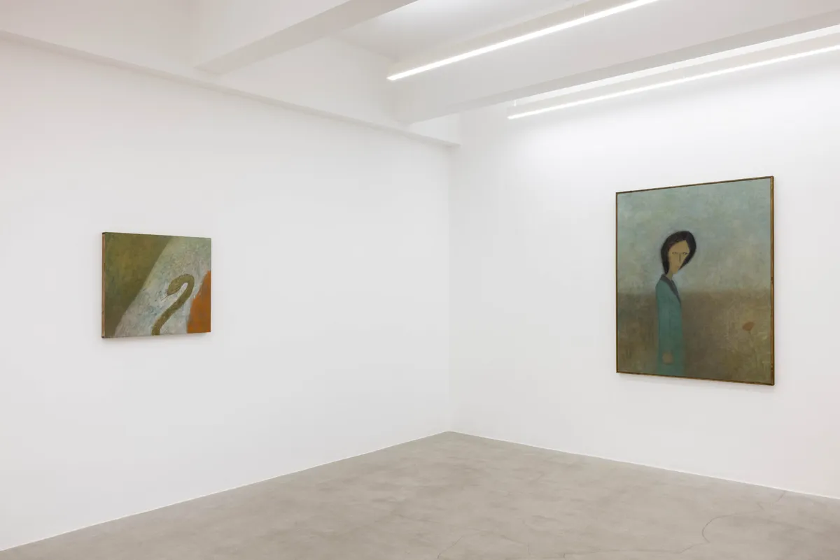 Installation view of Tenki Hiramatsu: Smell of the Lawn
