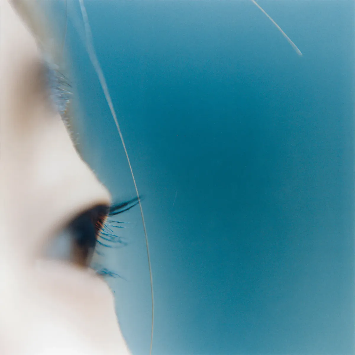 Kawauchi Rinko, Untitled, from the series the eyes, the ears, 2004