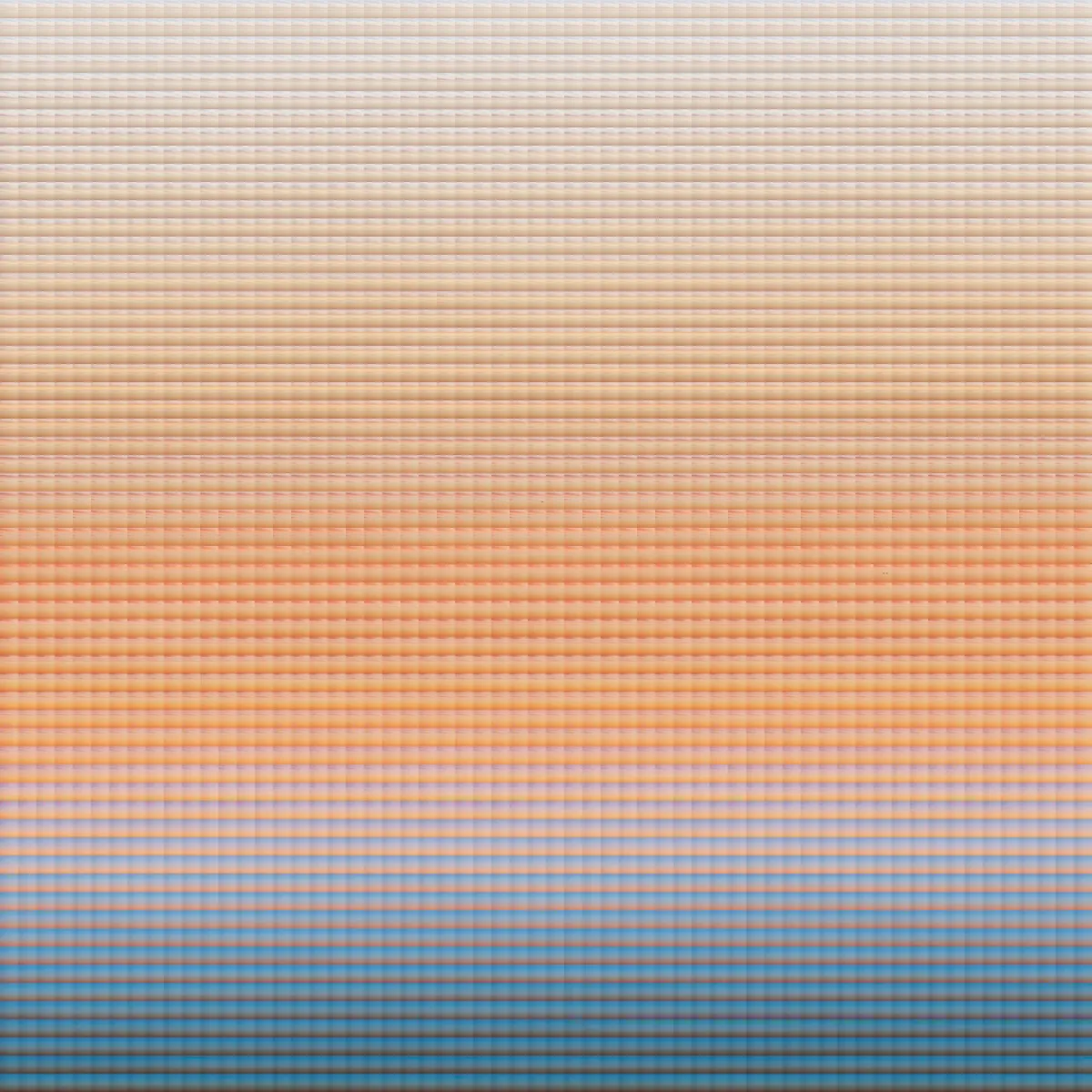 Owhiro Bay, New Zealand, One Hour, 8:15-9:15pm, November 27, 2024