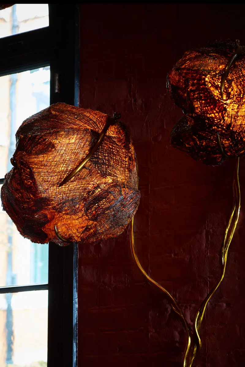 Installation view of Ori Orisun Merhav: A Portal into the Multi-Species