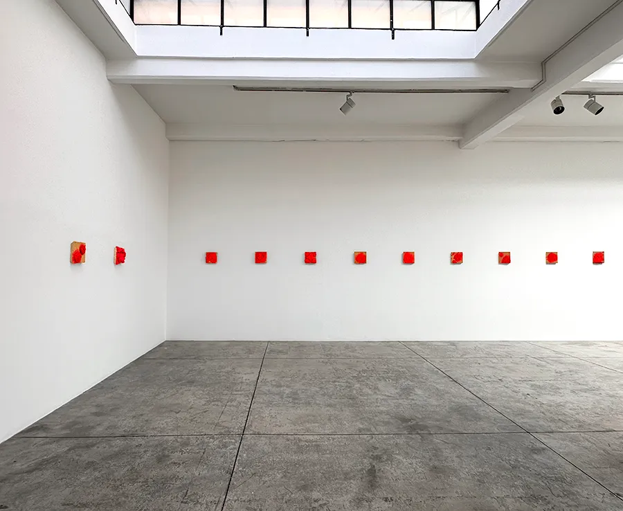 Installation view of Bosco Sodi: Fruto Del Bosco