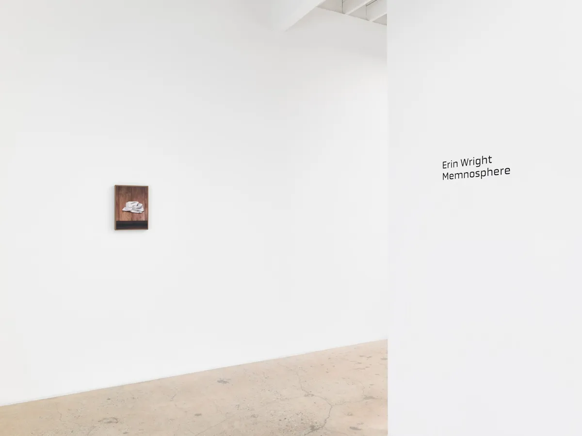 Installation view of Erin Wright: Memnosphere