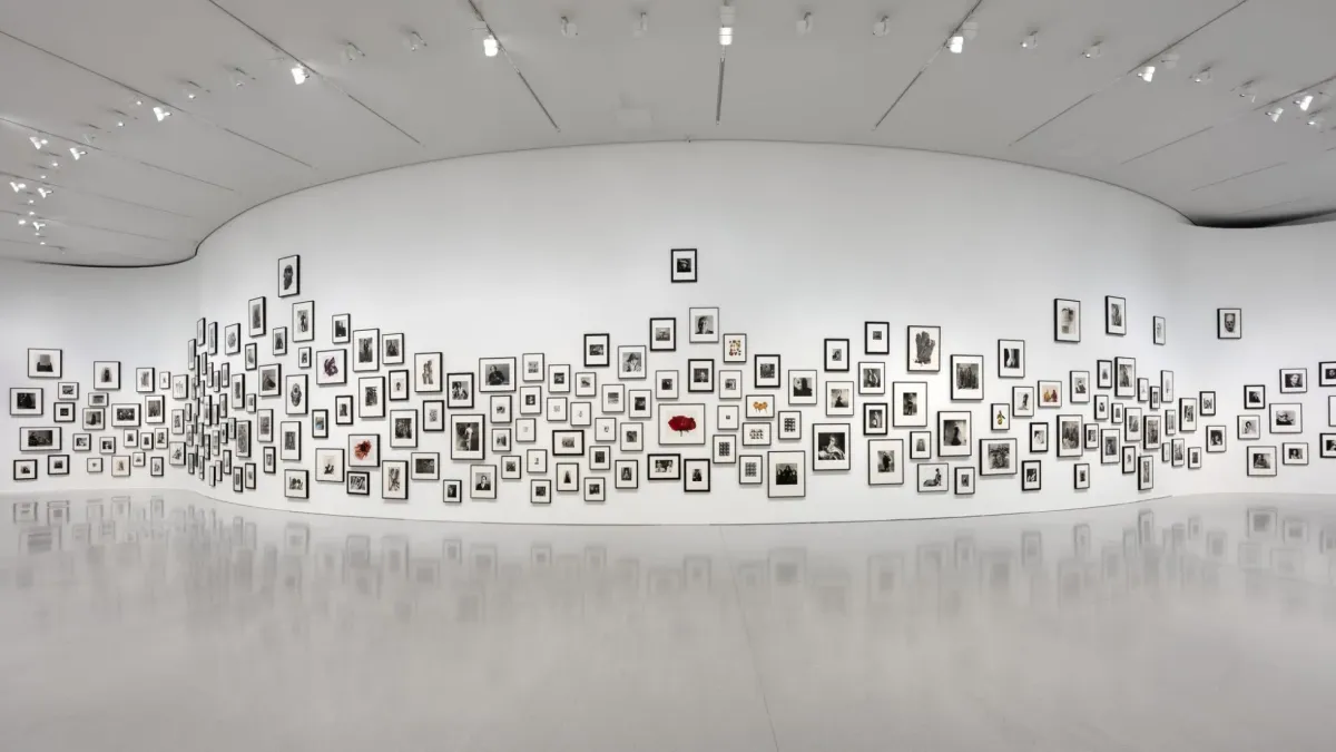 Installation view of Irving Penn: Le monde selon Penn